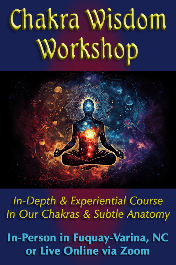 Workshop - Energy Anatomy (Chakra Wisdom)
