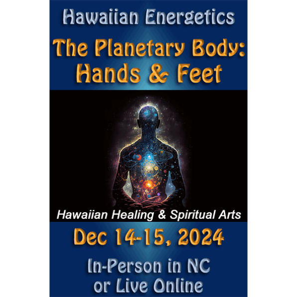 The Planetary Body Workshop: Hands & Feet